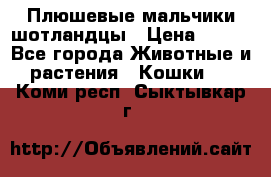 Плюшевые мальчики шотландцы › Цена ­ 500 - Все города Животные и растения » Кошки   . Коми респ.,Сыктывкар г.